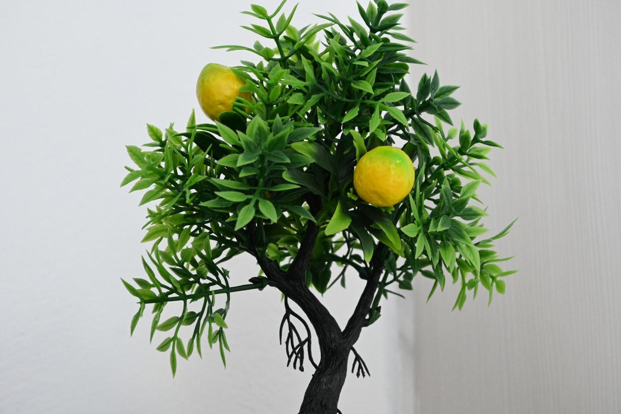 Luani 公寓 *